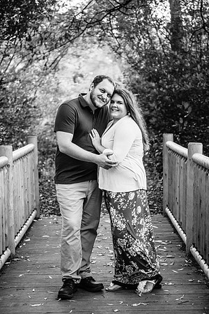 Visintin Engagement
