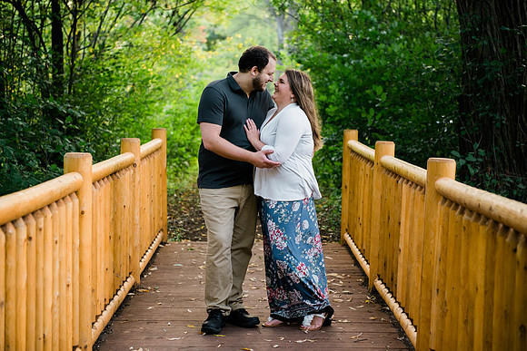 Visintin Engagement