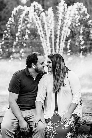 Visintin Engagement