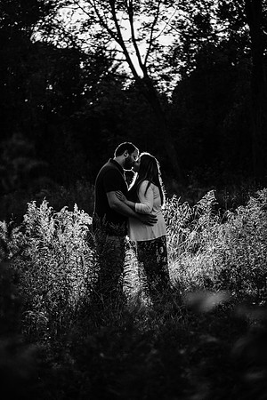 Visintin Engagement