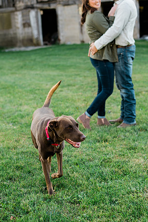 Tyler + Kristan Engagement