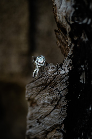Tyler + Kristan Engagement