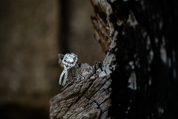 Tyler + Kristan Engagement