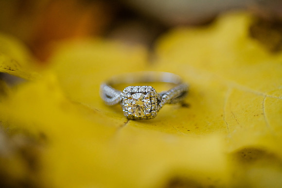 Tyler + Kristan Engagement