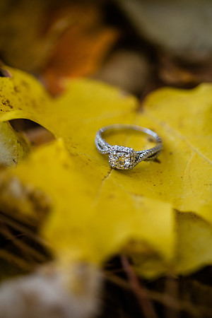Tyler + Kristan Engagement