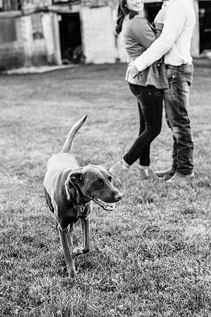Tyler + Kristan Engagement