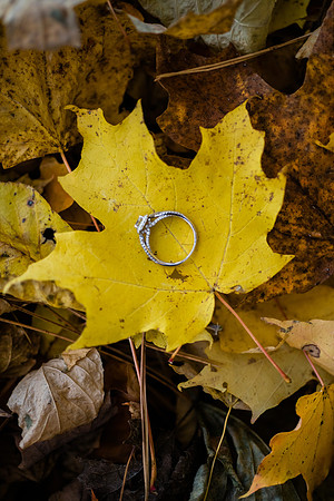 Tyler + Kristan Engagement