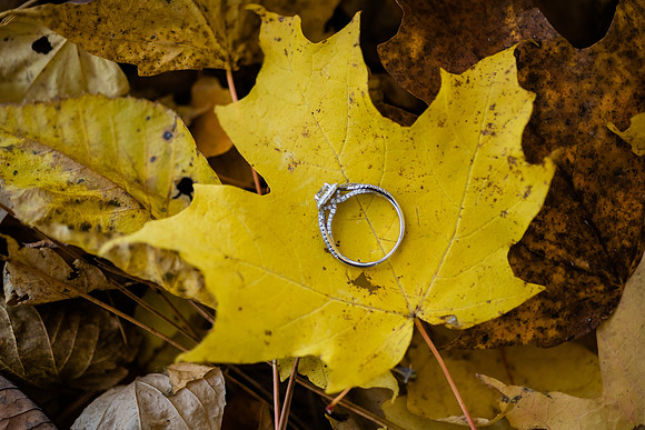 Tyler + Kristan Engagement