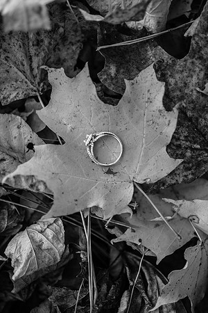 Tyler + Kristan Engagement