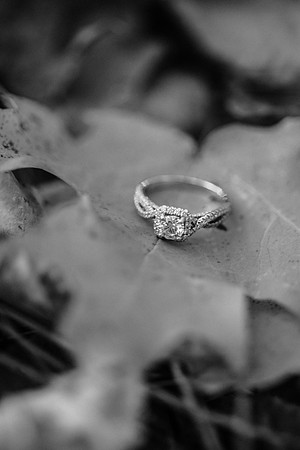 Tyler + Kristan Engagement