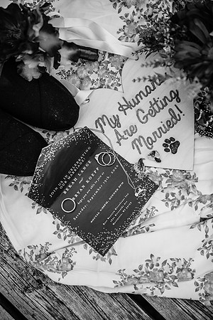 Koepp Wedding