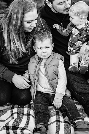 Vandenplas Family