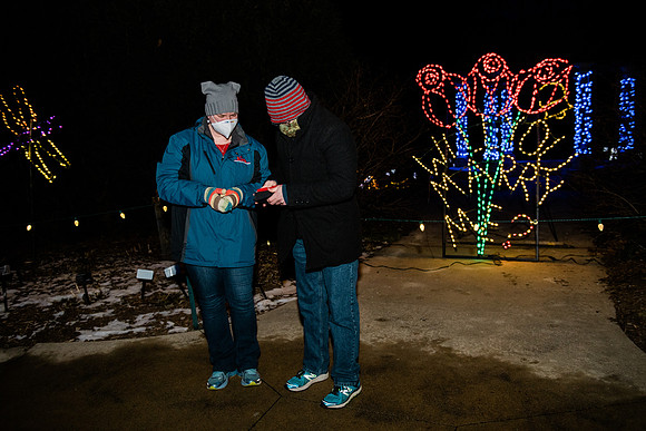 Neta Proposal