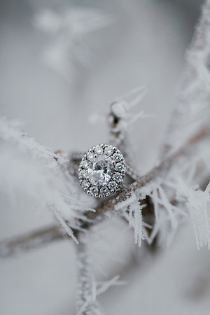 Schlafer Engagement