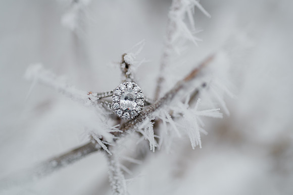 Schlafer Engagement