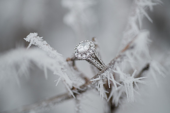 Schlafer Engagement