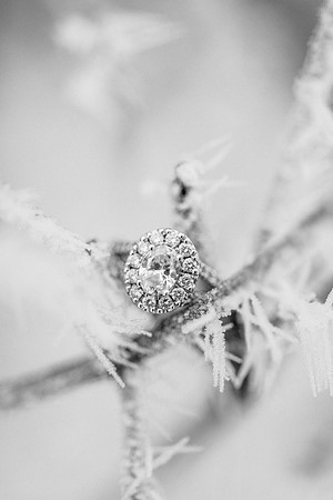 Schlafer Engagement