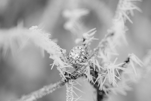 Schlafer Engagement