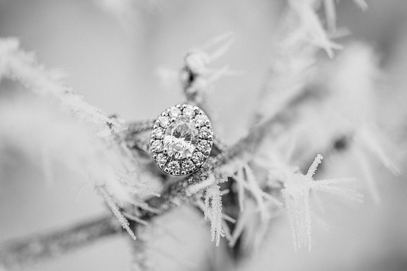 Schlafer Engagement