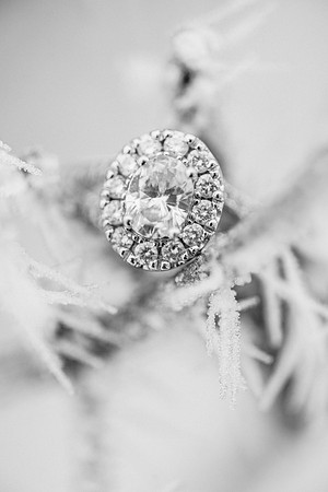 Schlafer Engagement