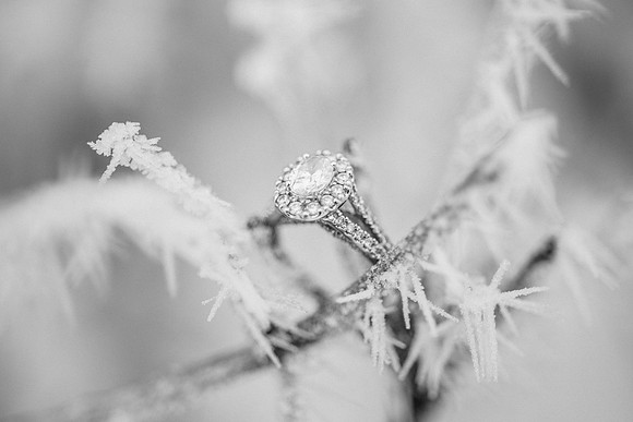 Schlafer Engagement