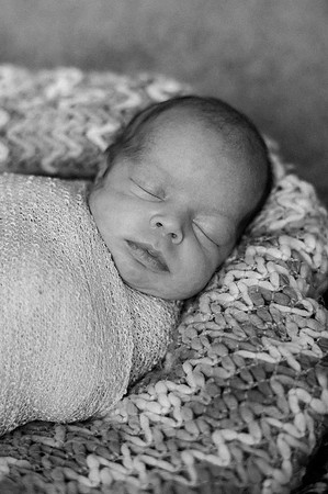 Hartwig Newborn