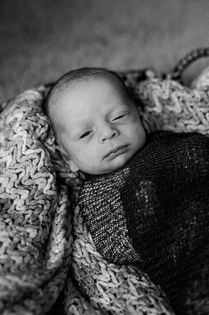 Hartwig Newborn