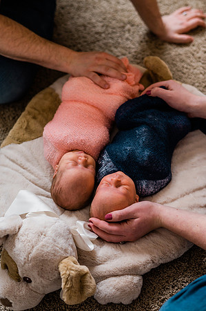 Hartwig Newborn
