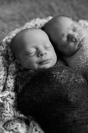 Hartwig Newborn