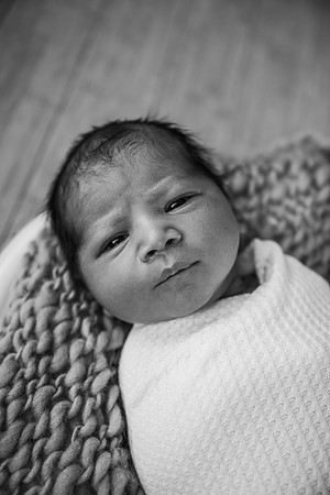 Newborn Session
