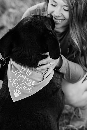 Gregorich Engagement