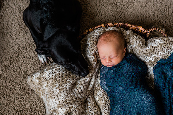 Hartwig Newborn