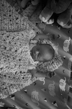 Hartwig Newborn