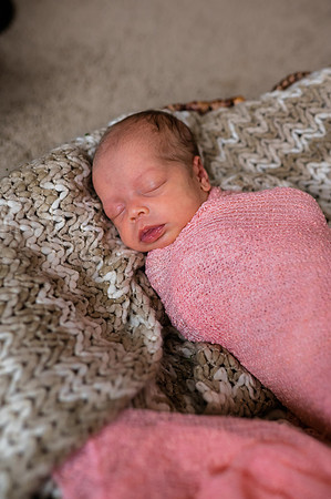 Hartwig Newborn