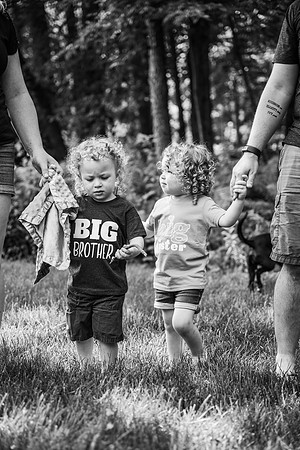 Hartwig Family 2024