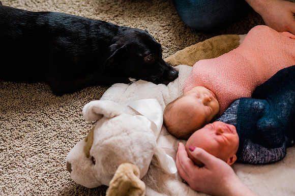 Hartwig Newborn