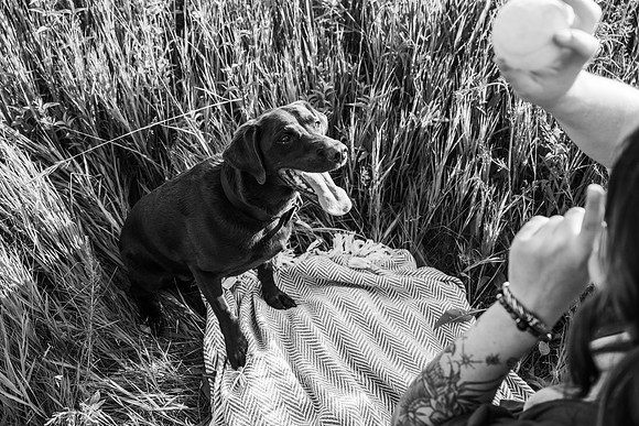Charlie Puppy Photos