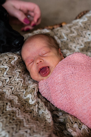 Hartwig Newborn