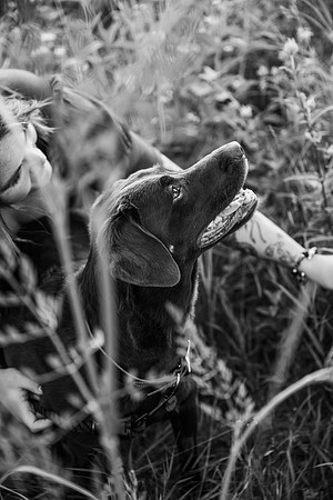 Charlie Puppy Photos