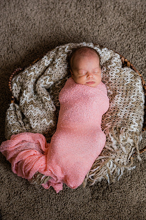 Hartwig Newborn
