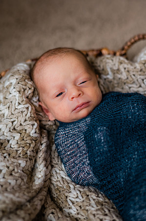 Hartwig Newborn
