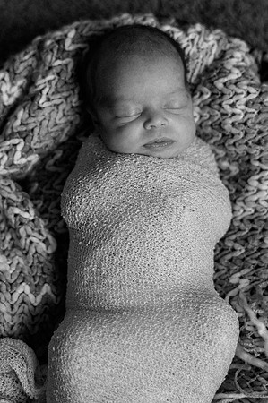 Hartwig Newborn