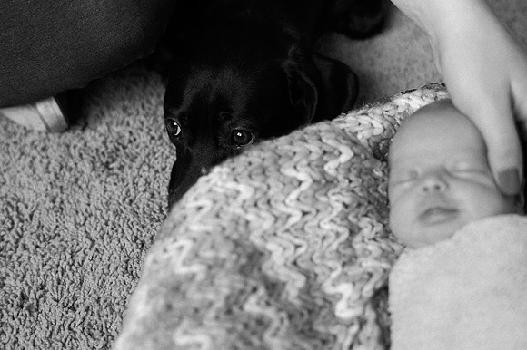 Hartwig Newborn