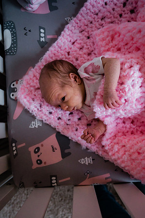 Hartwig Newborn