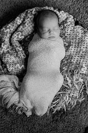 Hartwig Newborn