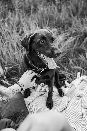 Charlie Puppy Photos