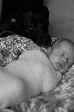 Hartwig Newborn