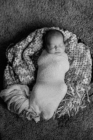 Hartwig Newborn