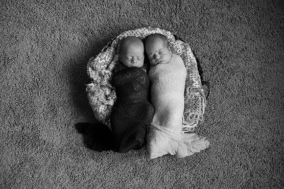 Hartwig Newborn