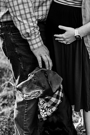 Farmer Maternity 2025